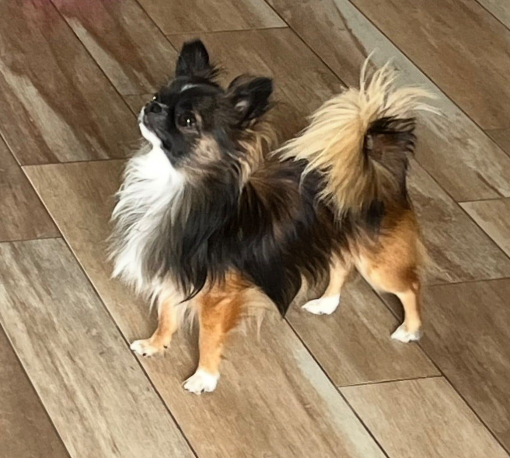 Udson river du Paradis Rétais