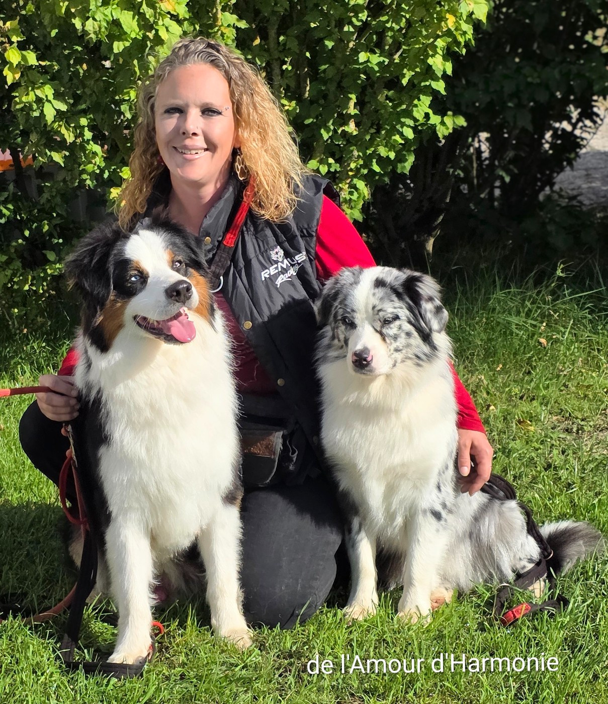 Saiko De L'Amour D'Harmonie