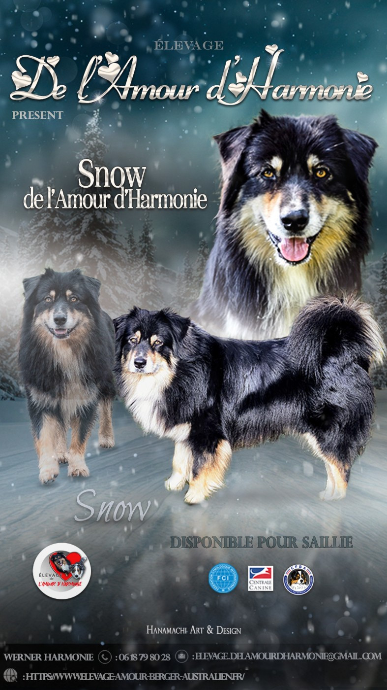 Publication : De L'Amour D'Harmonie