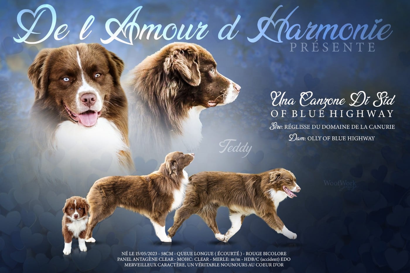 Publication : De L'Amour D'Harmonie Auteur : woofwork design