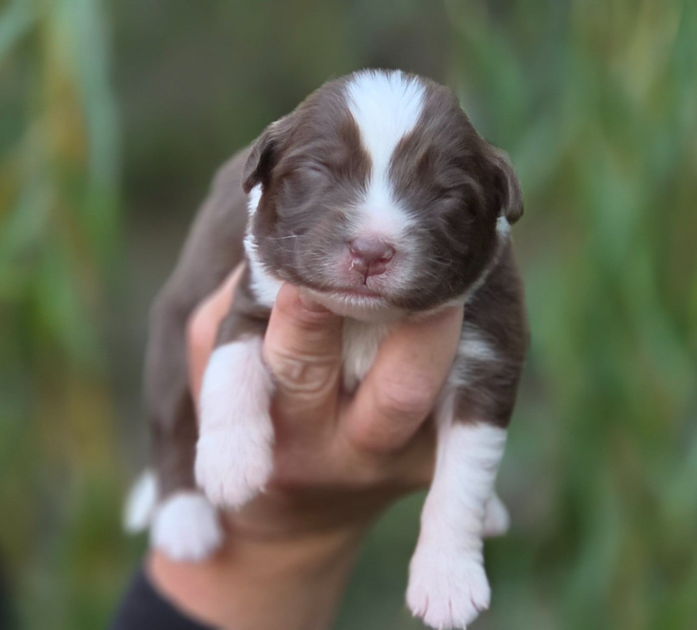 Bébé n1