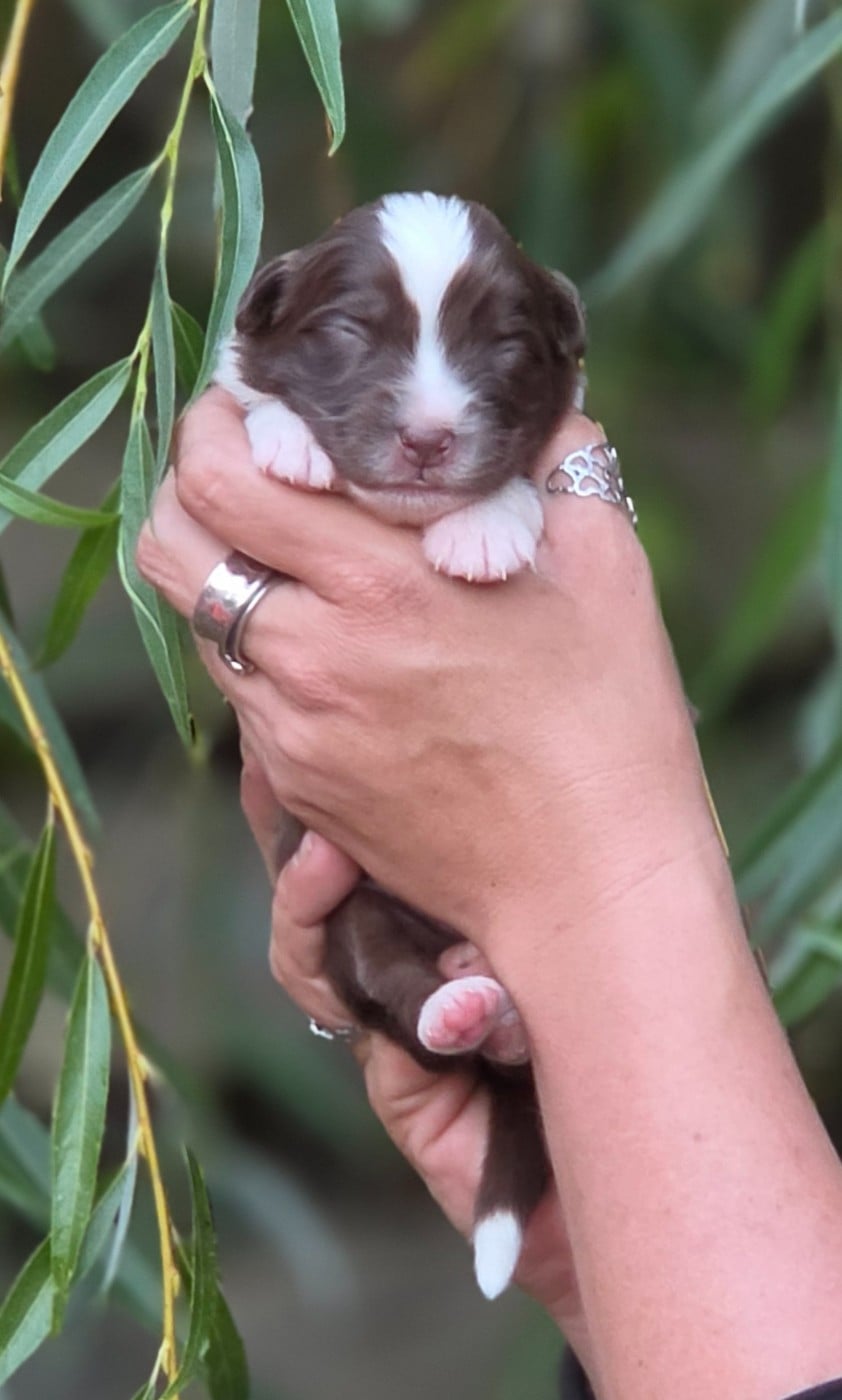 Bébé n1