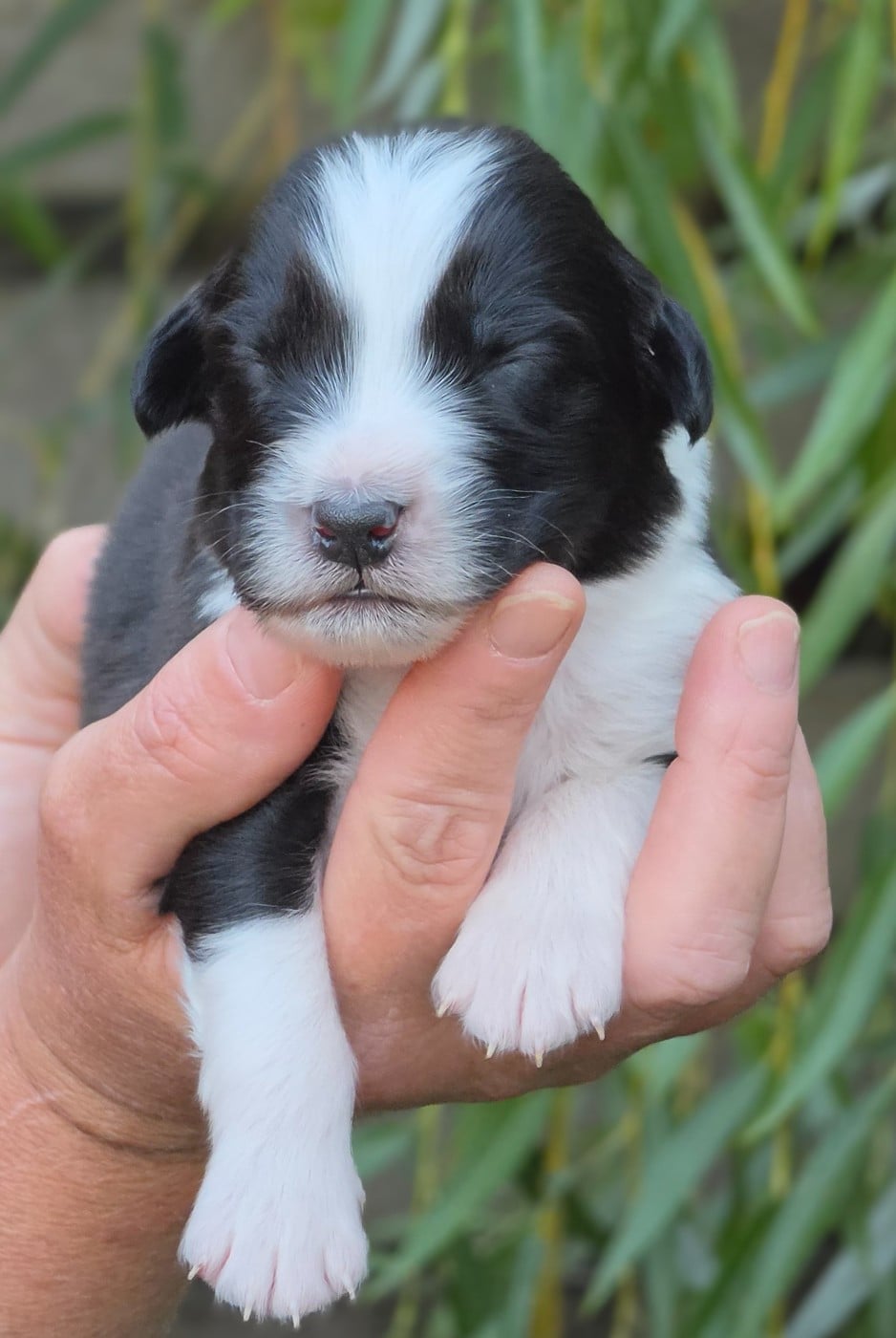 Bébé n2