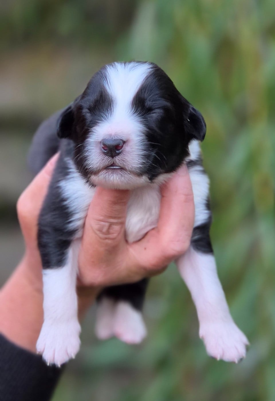 Bébé n2