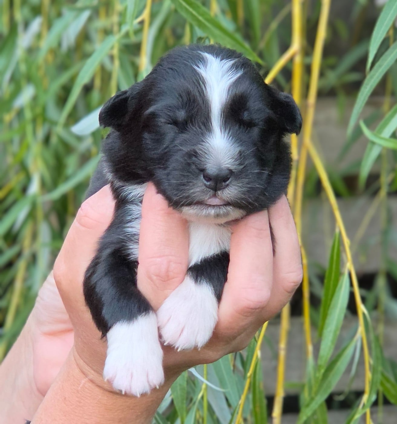 Bébé n3