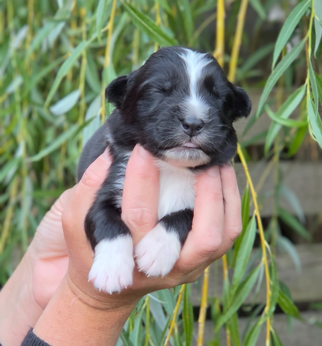 Bébé n3