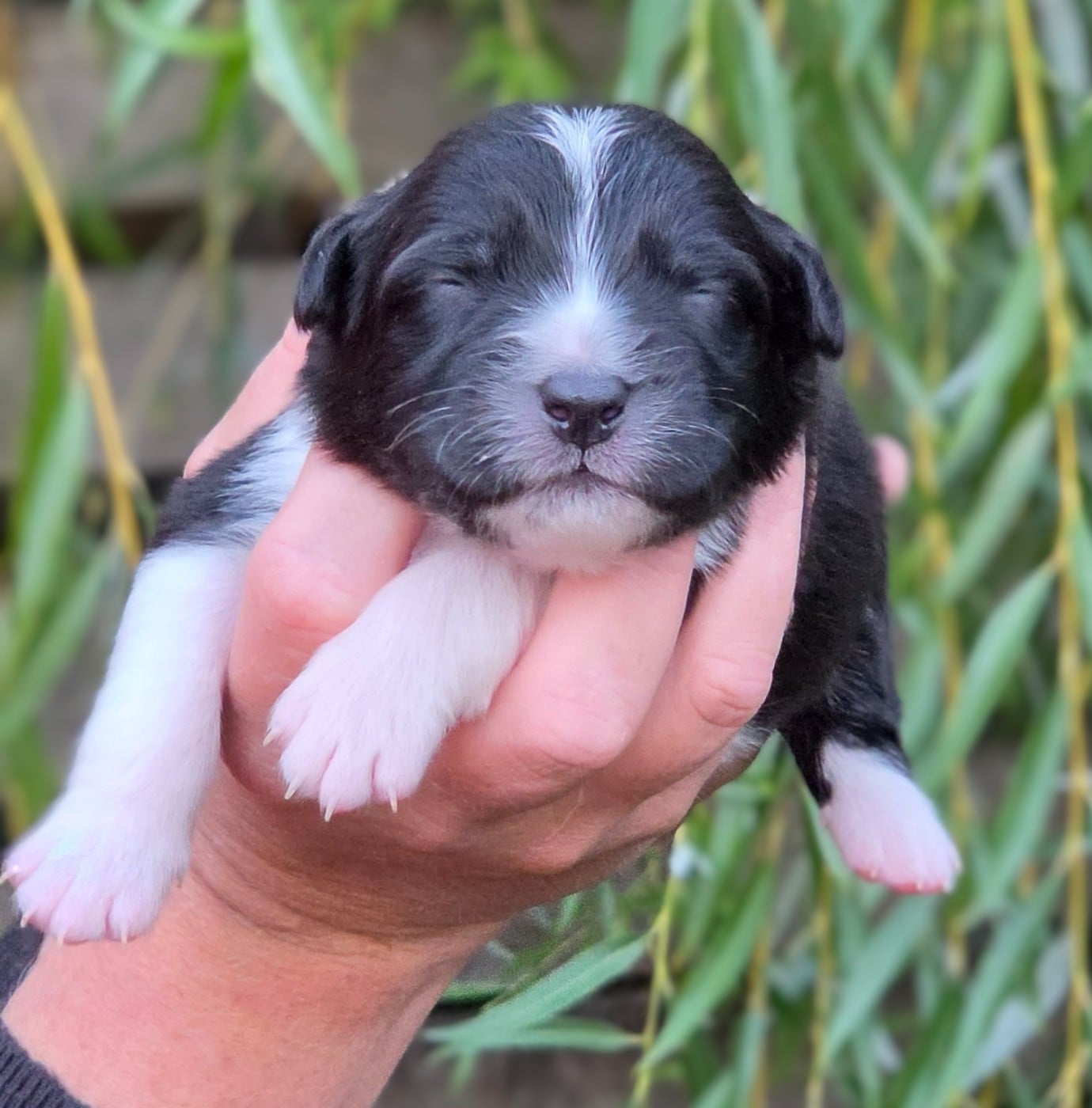 Bébé n4