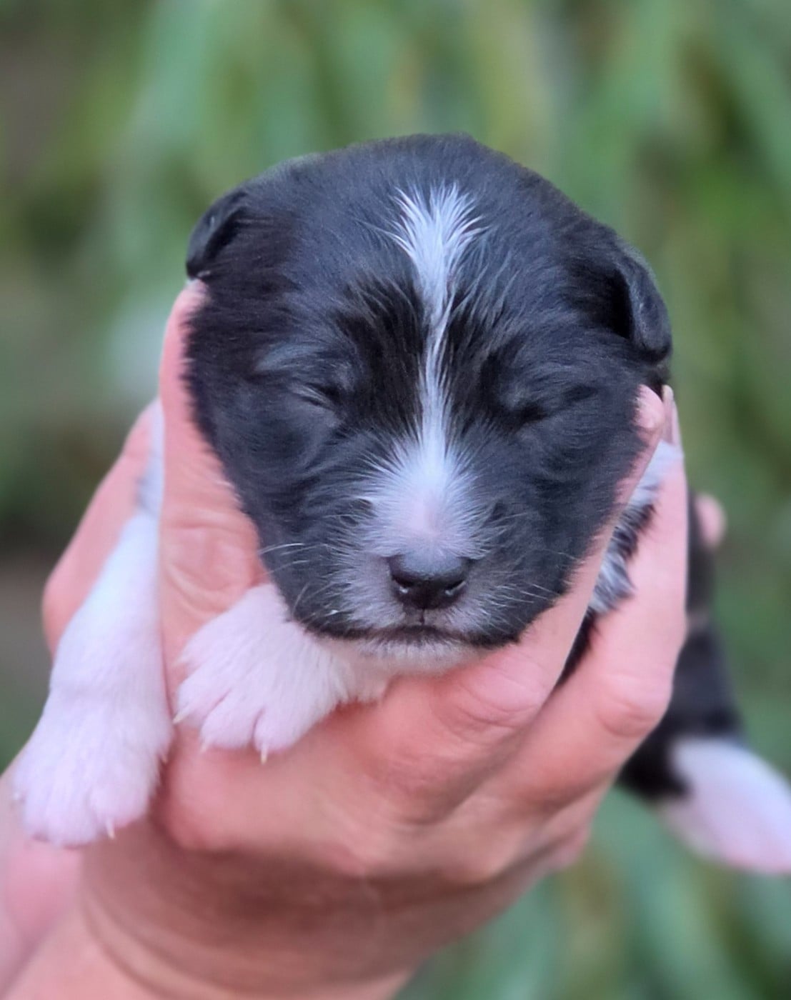 Bébé n4