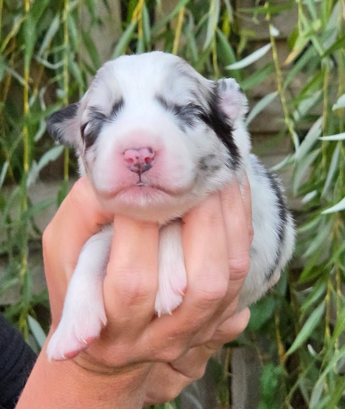 Bébé n5