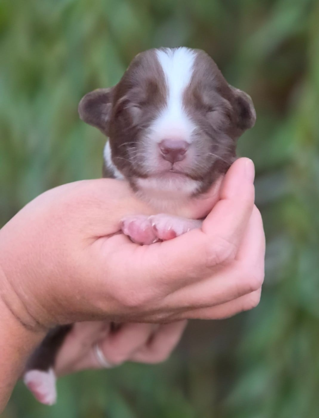 Bébé n7