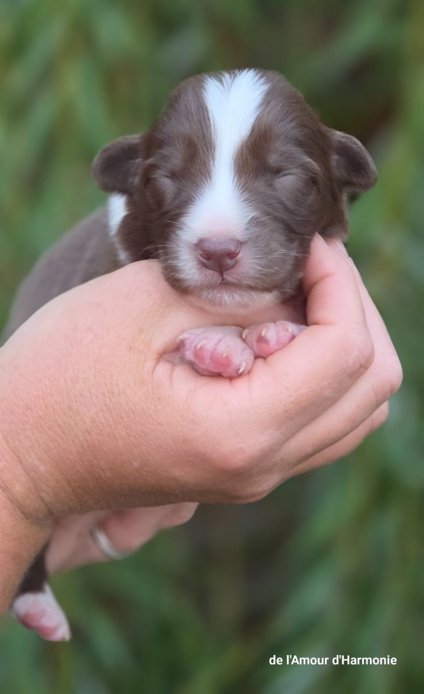 Bébé n7