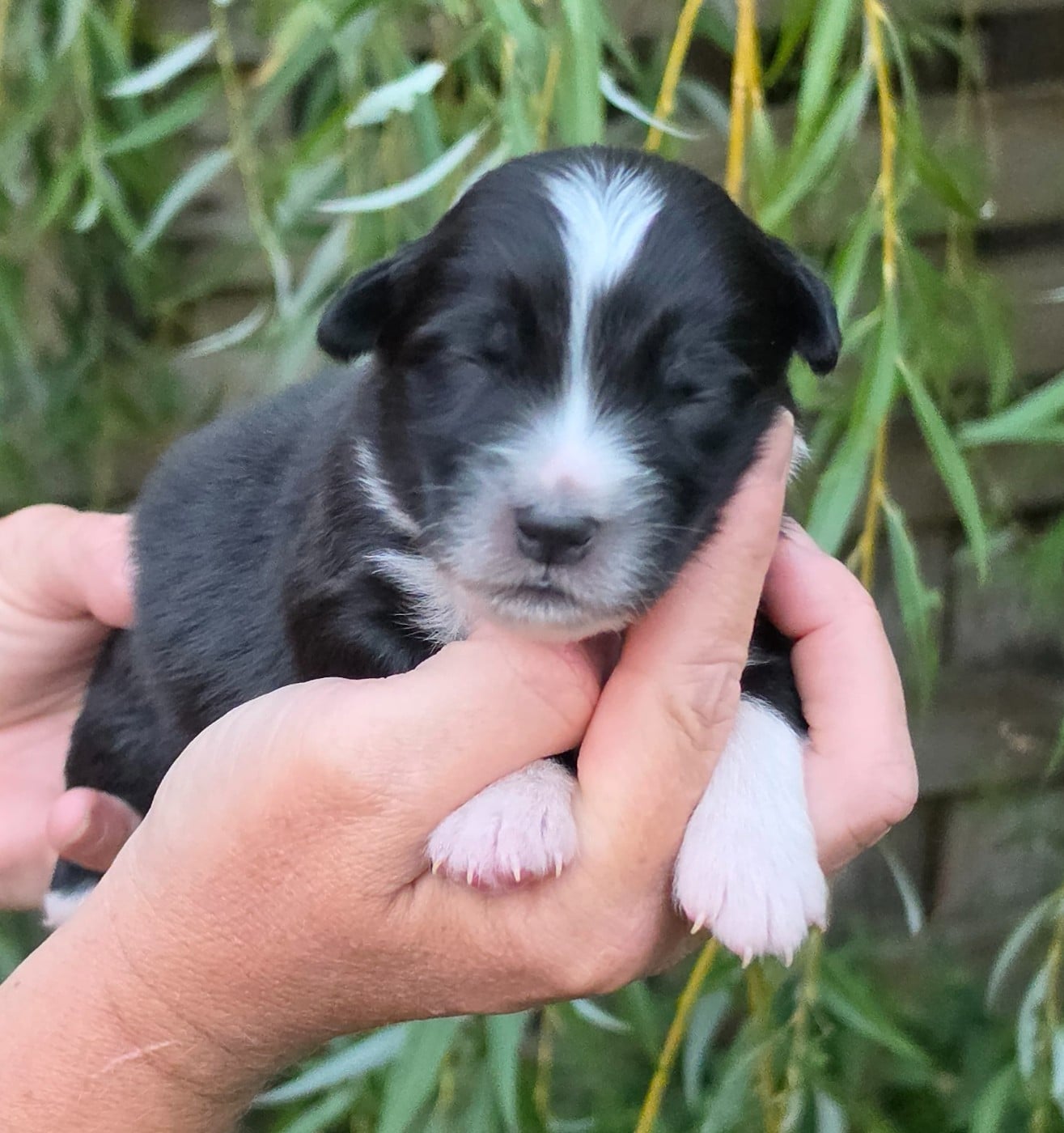 Bébé n8