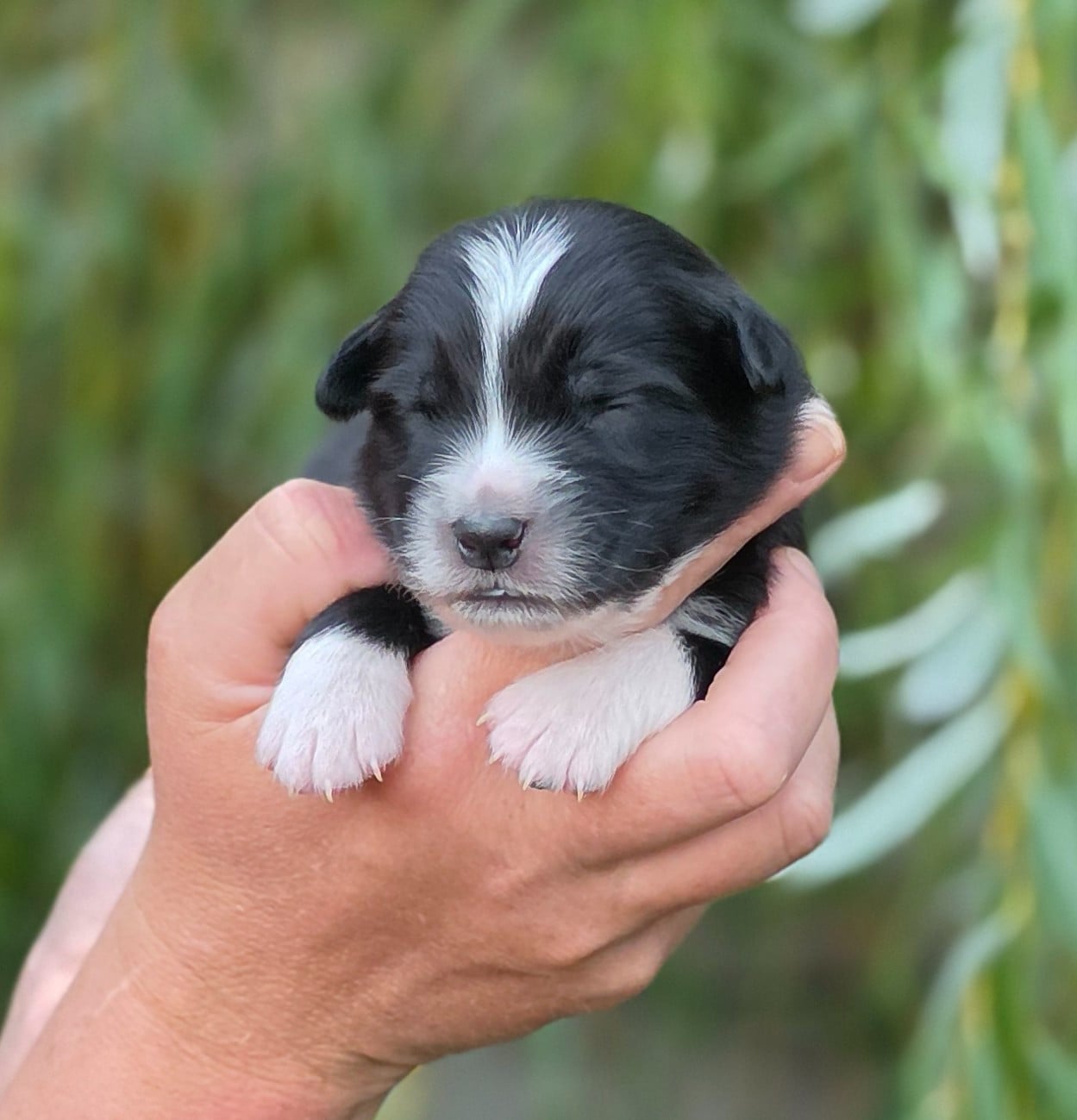 Bébé n8