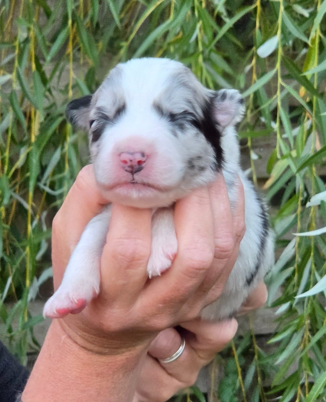 Bébé n9