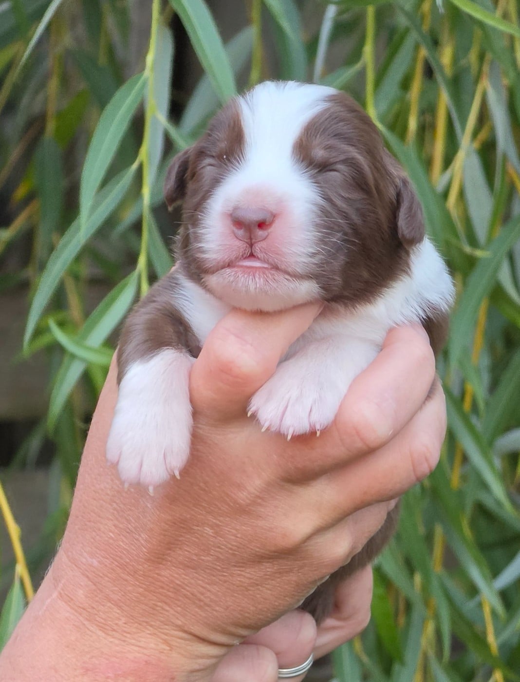 Bébé n10