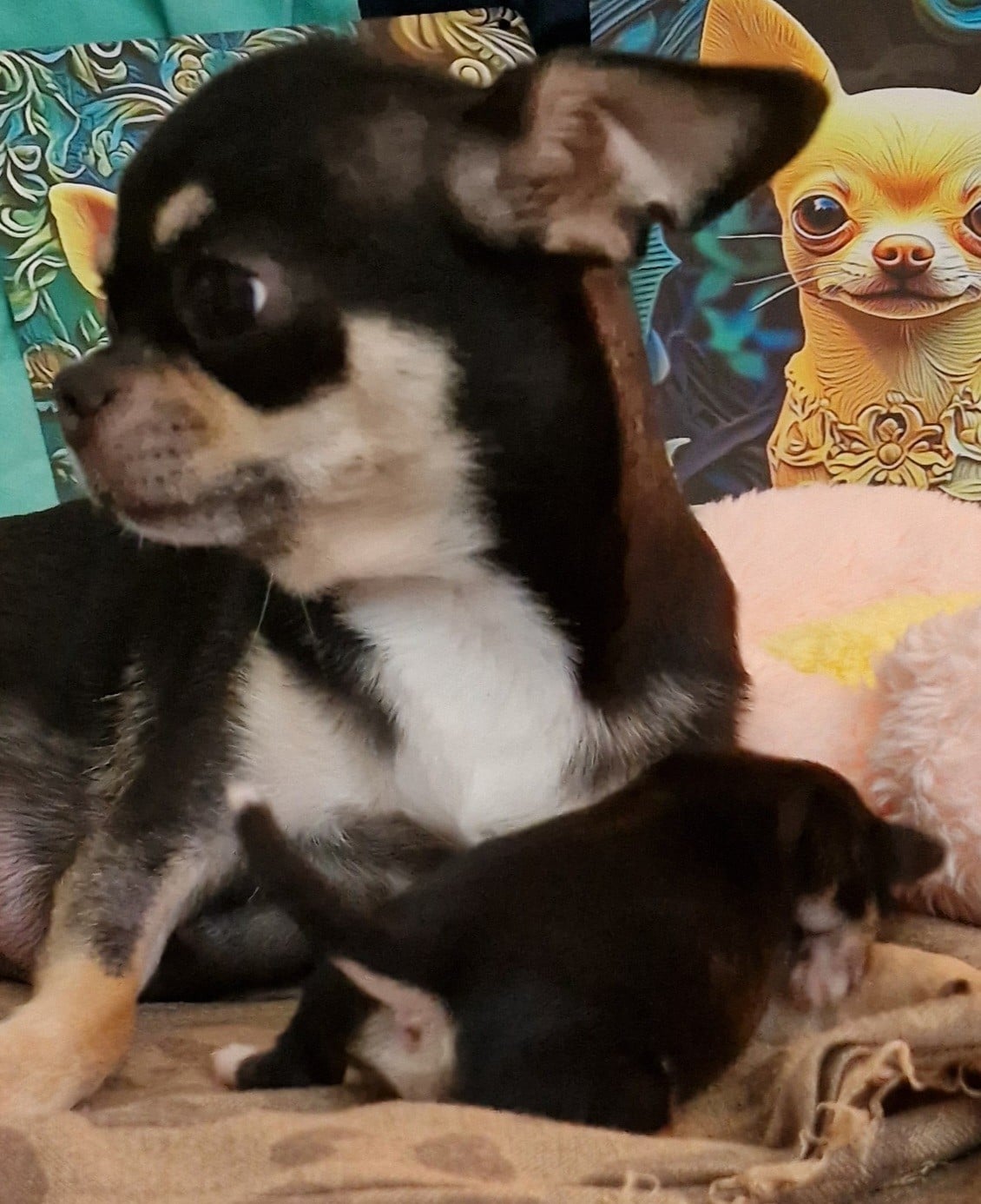 Bobby