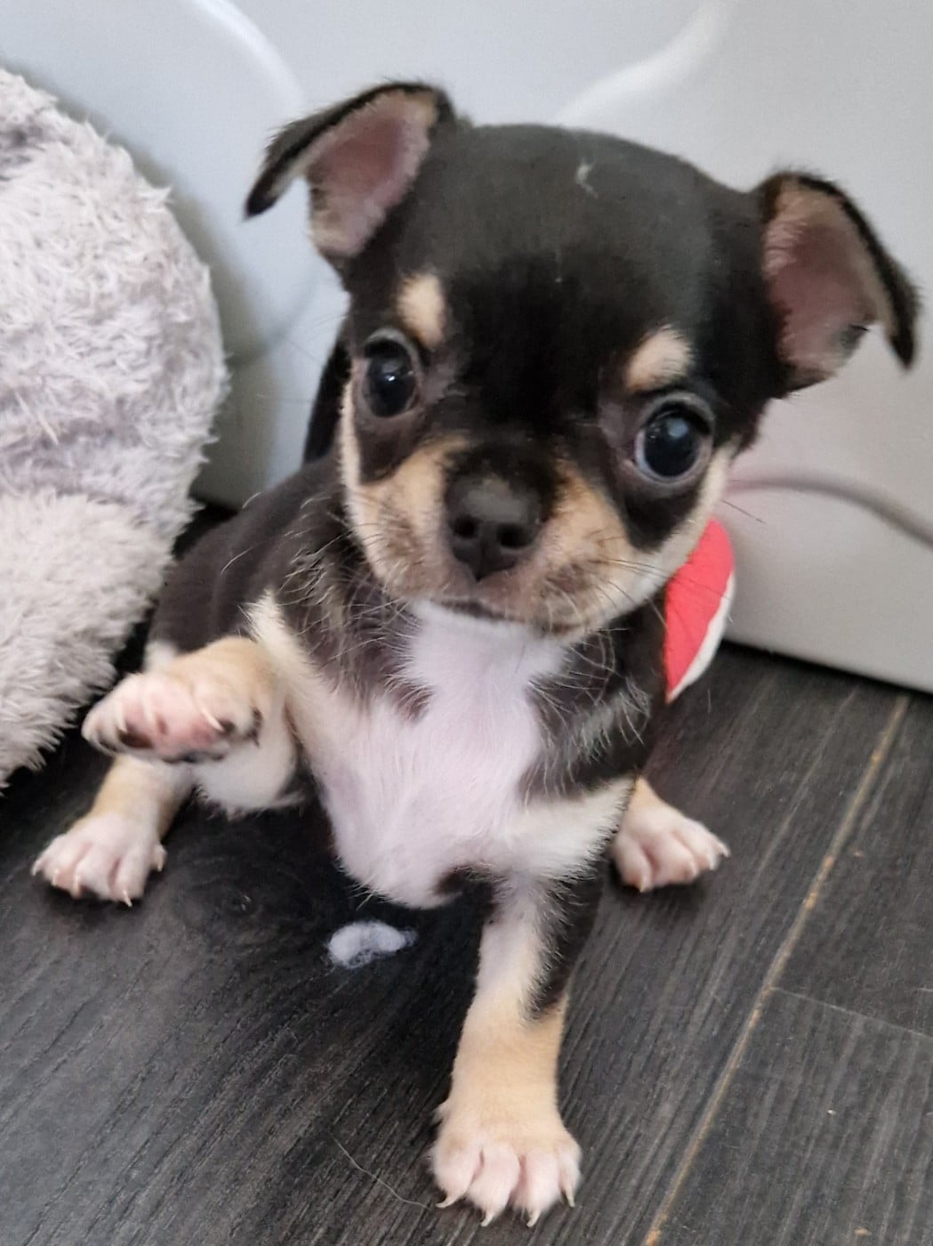 Bobby