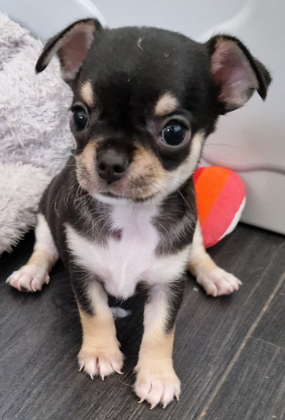 Bobby