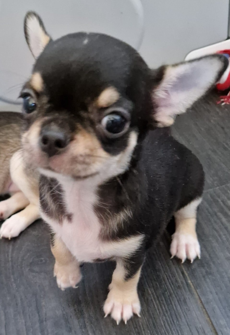 Bobby