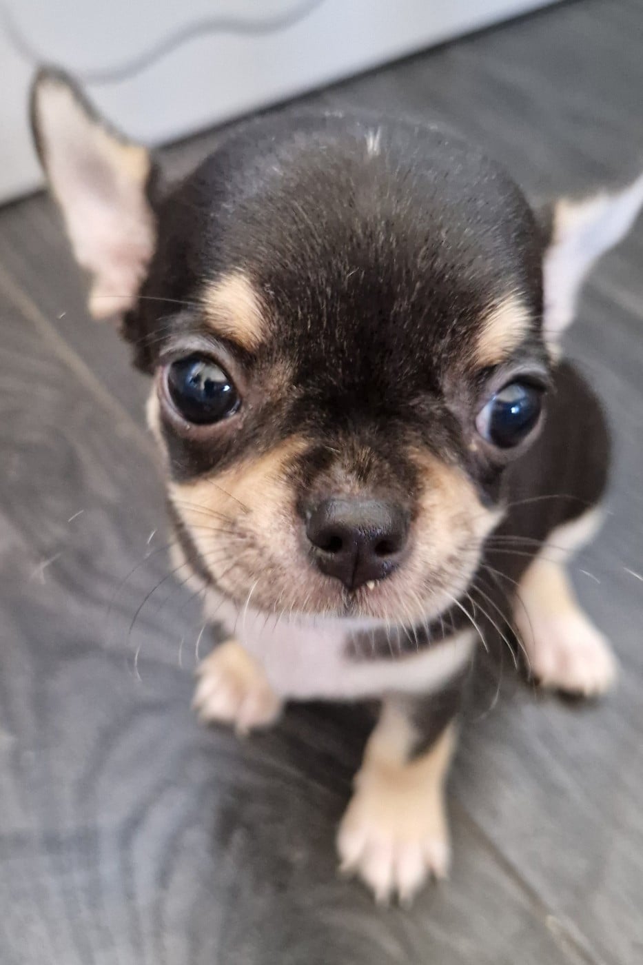 Bobby