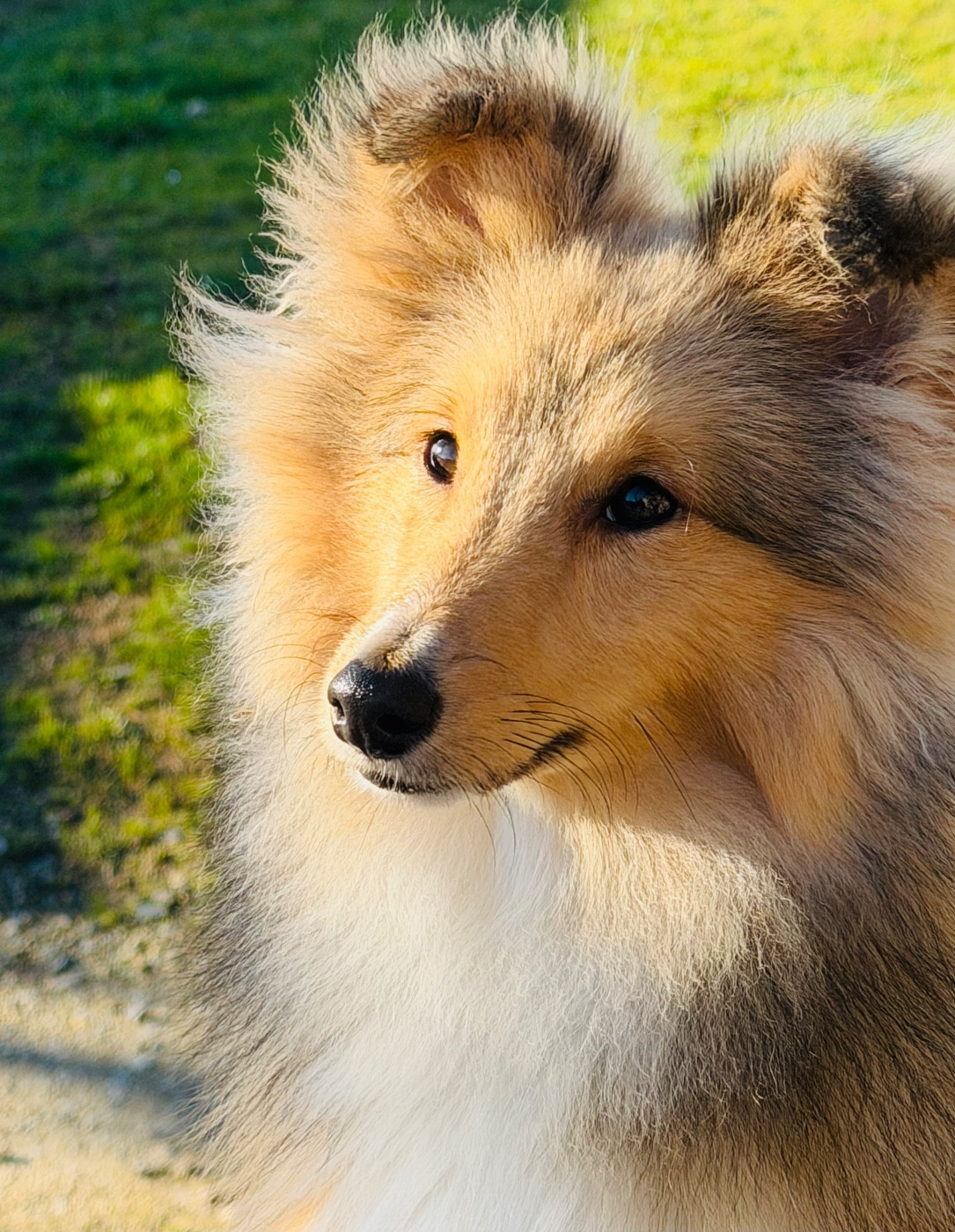 Blue witch Away we go