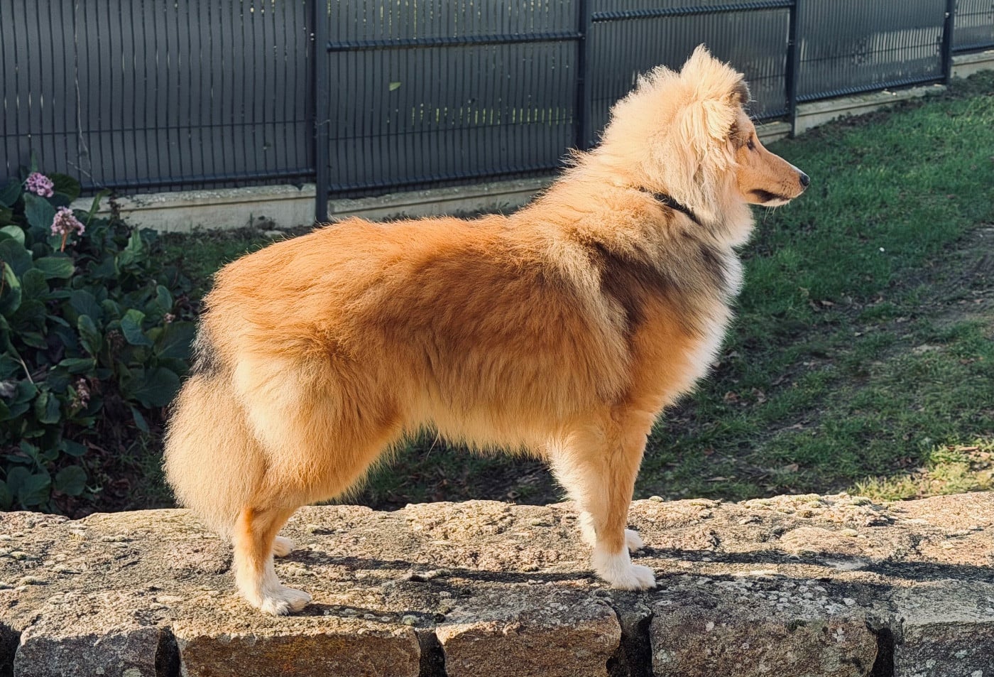 Blue witch Away we go