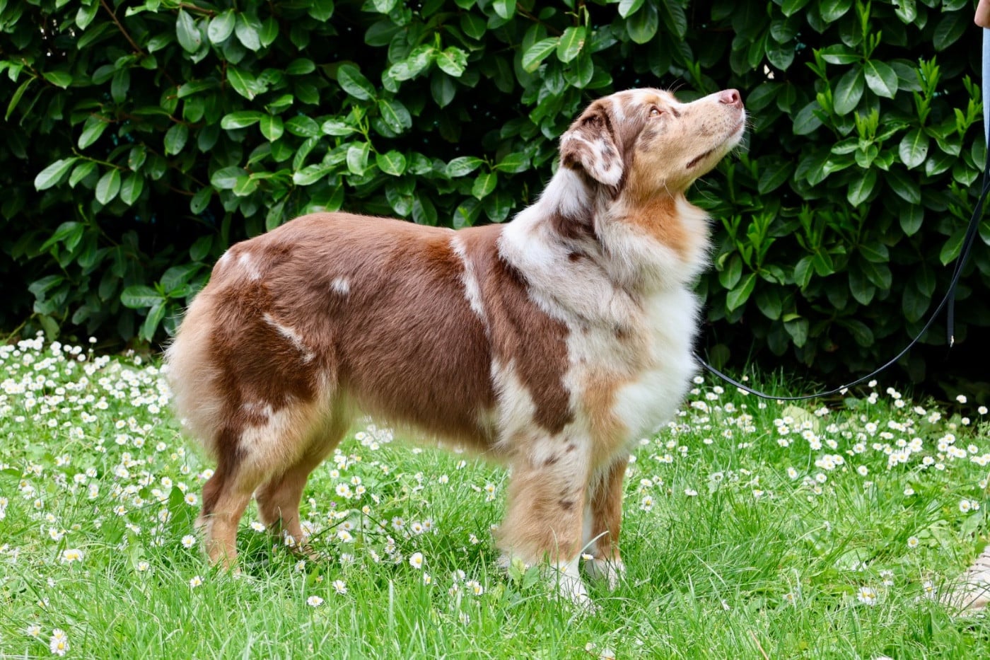 Ultim temptation Of Eternal Dreams