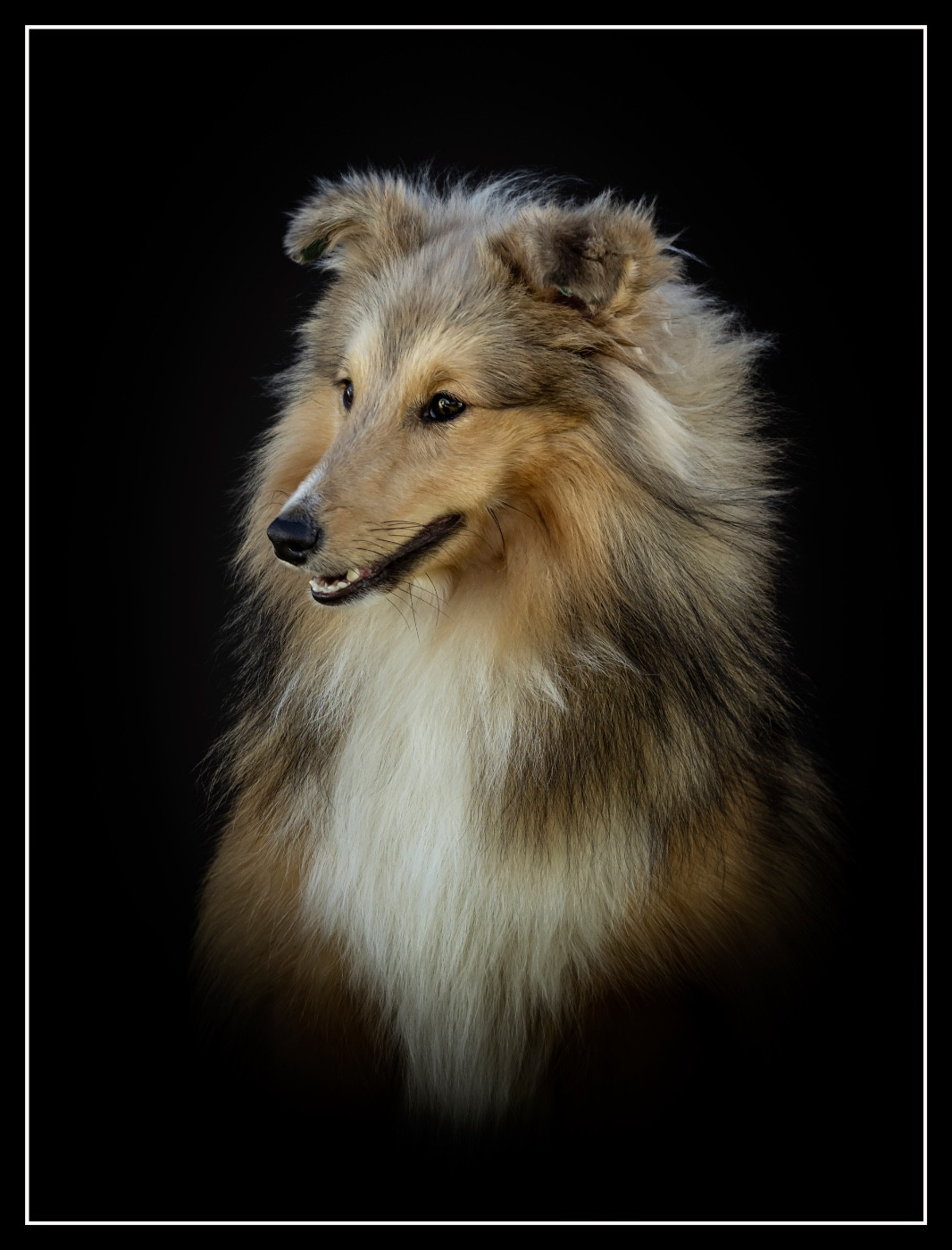 Blue witch Away we go