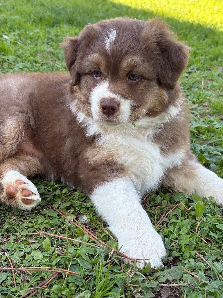 Amore Gloria e Bellezza