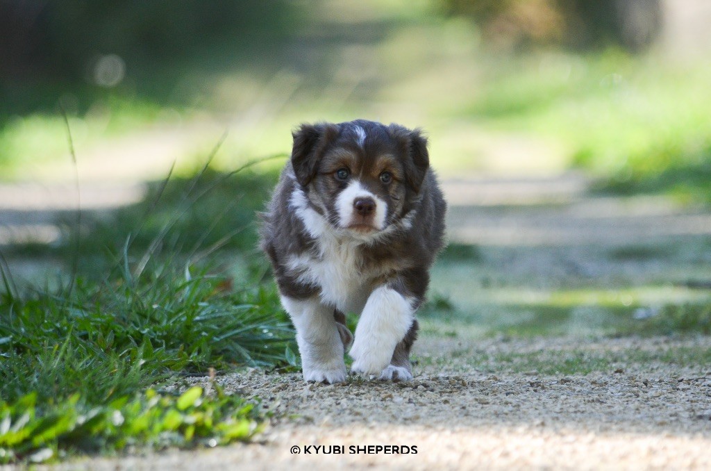 Amore Gloria e Bellezza