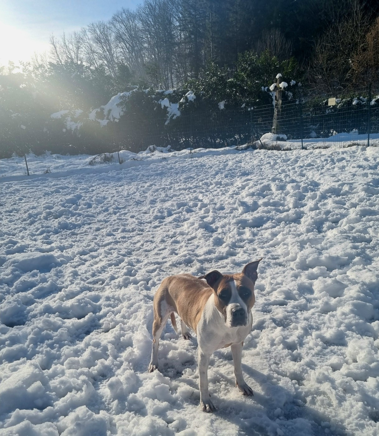 Publication : Revenge Of The Gladiator's