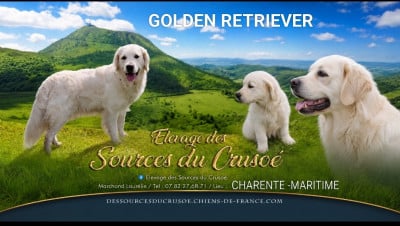 Des Sources Du Crusoe