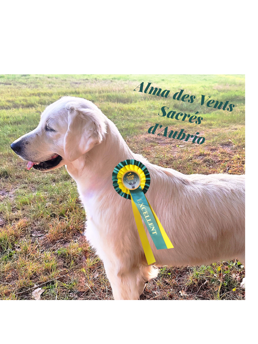 Alma Des Vents Sacrés D'Aubrio - 4ème Excellent