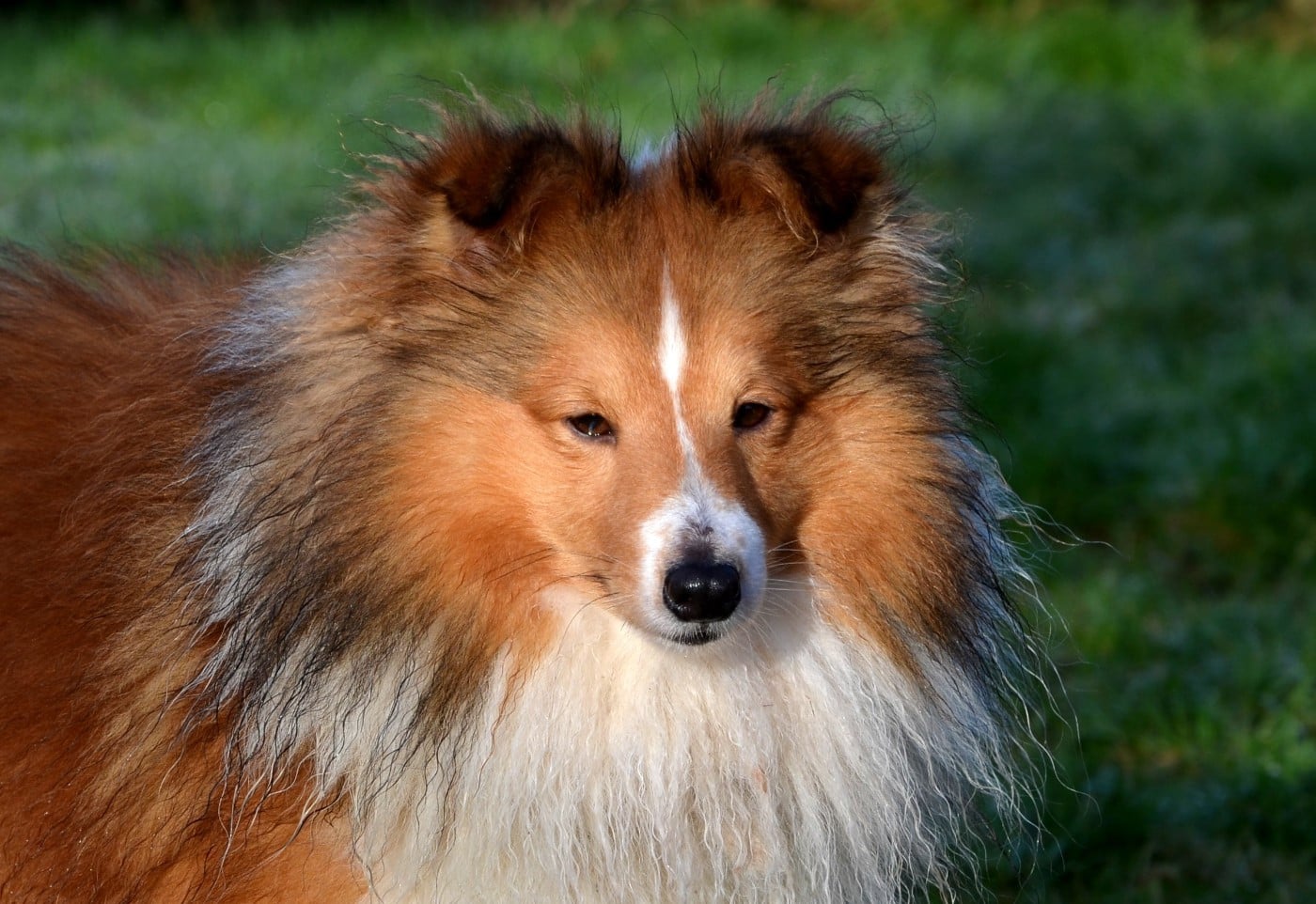 Urlorage illidan Des Berges De La Droude