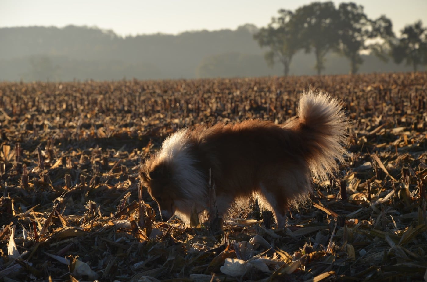 Urlorage illidan Des Berges De La Droude