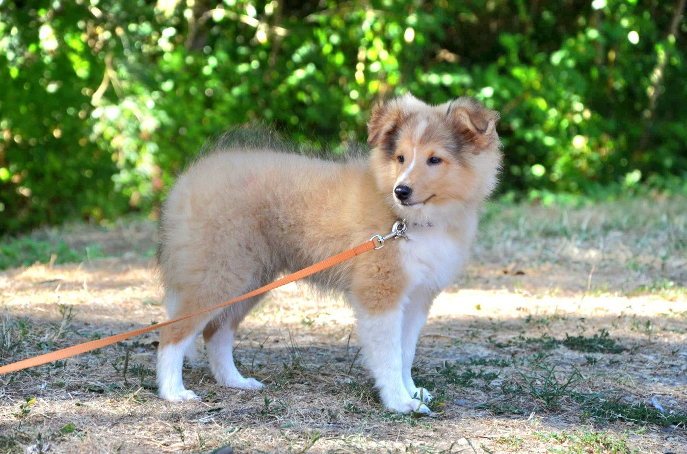 Beautiful Yoki