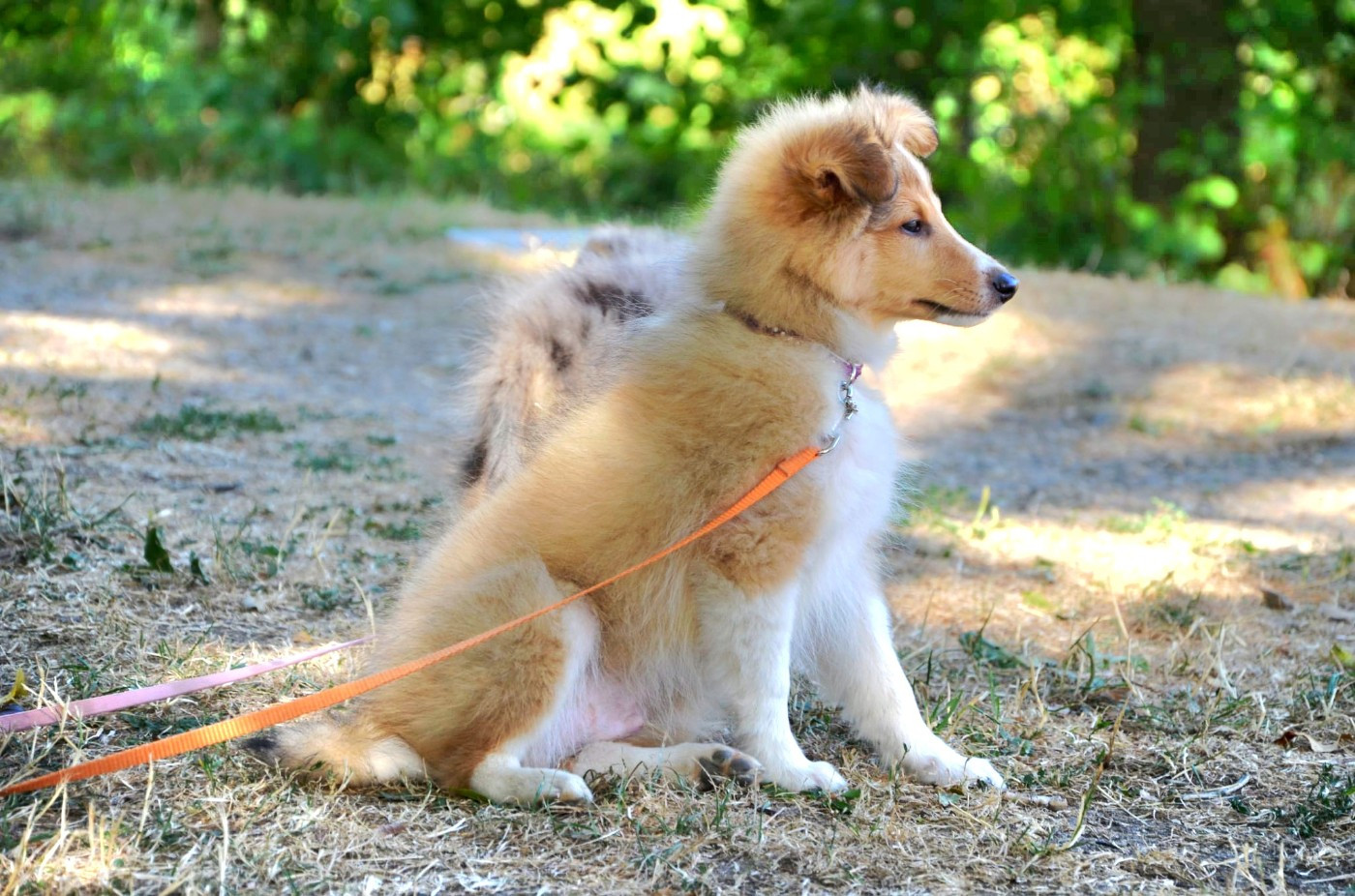 Beautiful Yoki