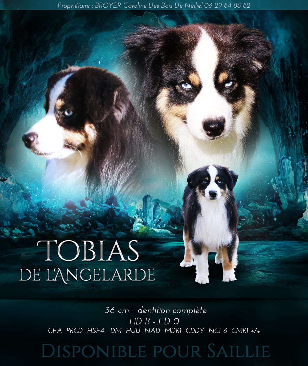 Publication : Des Bois De Nelliel