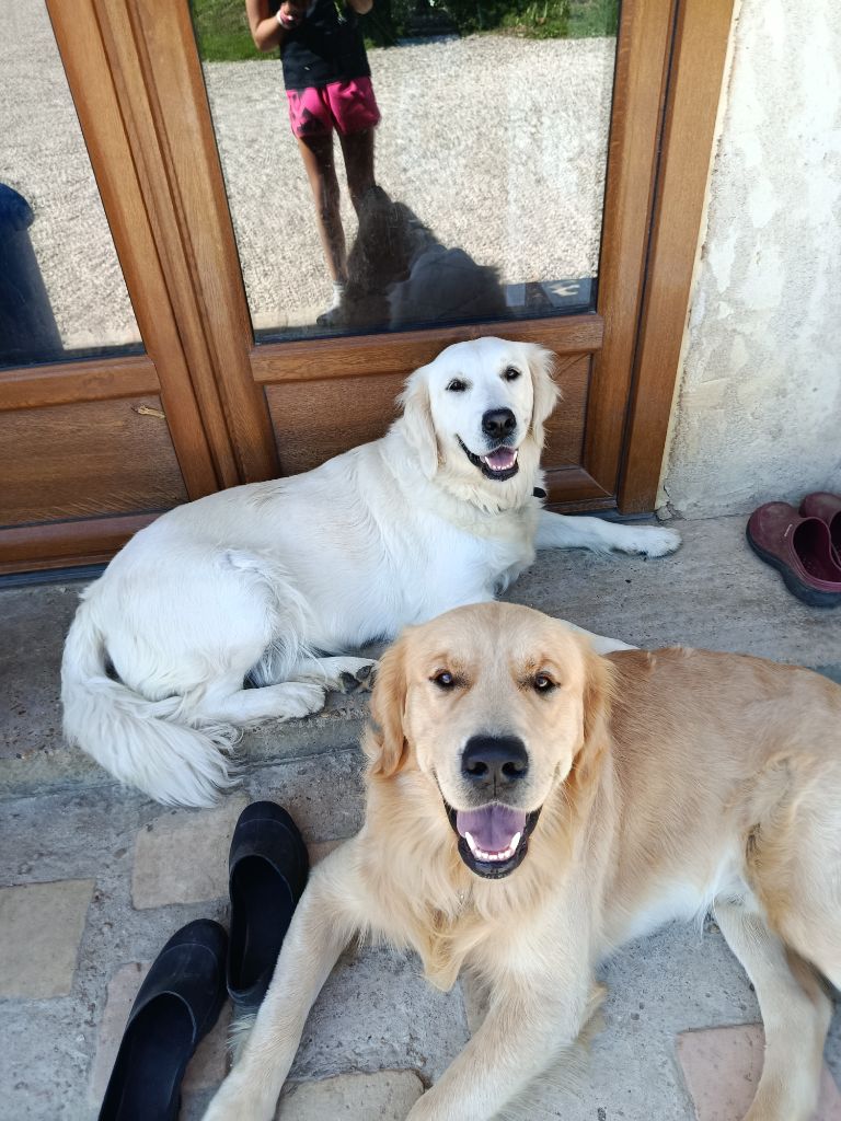 Thora Du Pré De Maloé