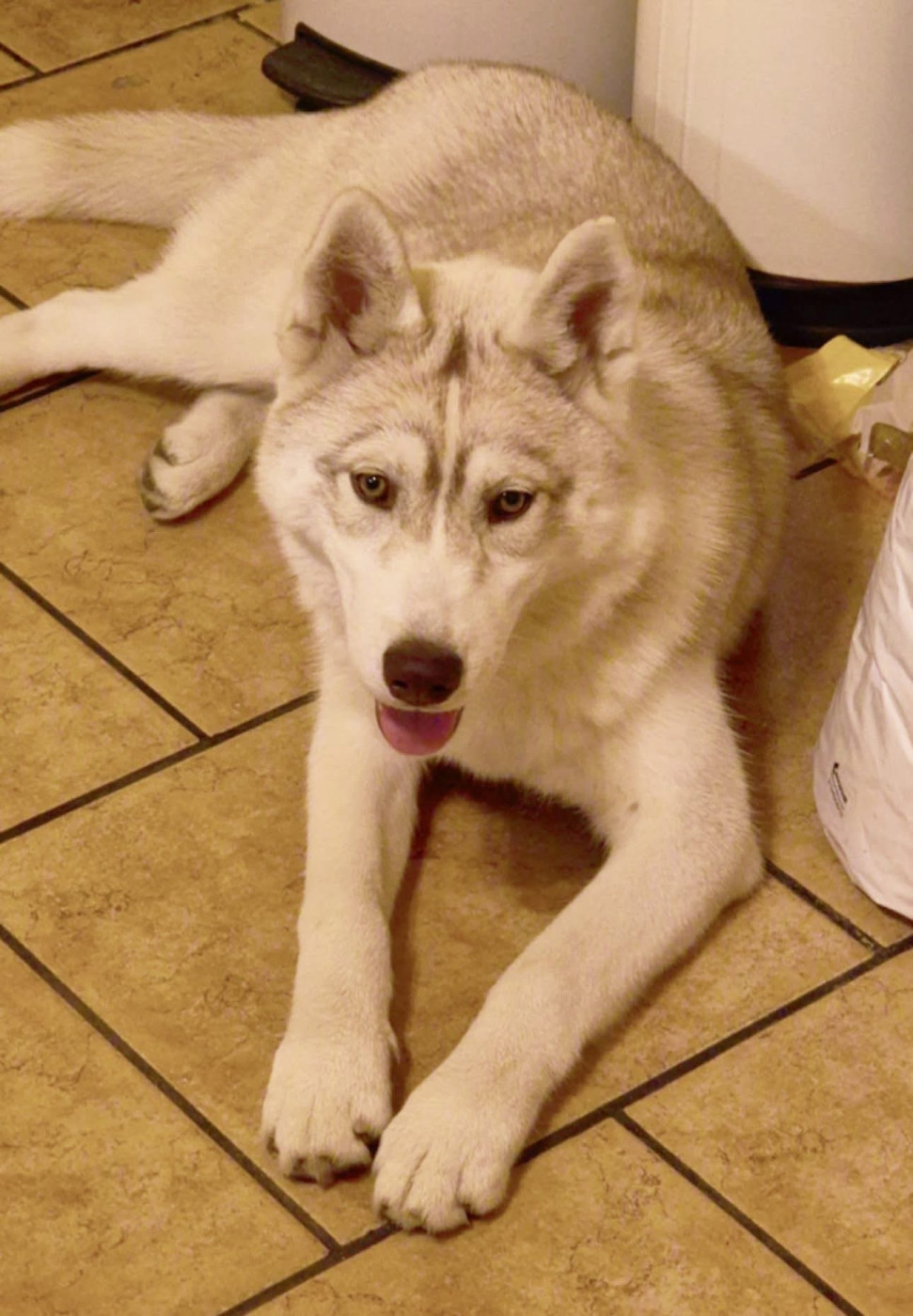 Skyrrows A forever love