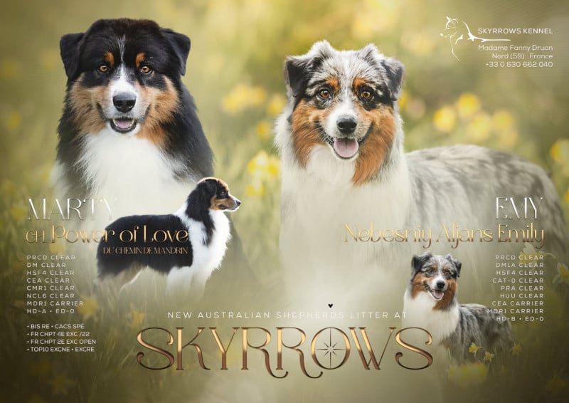 Berger Australien - Skyrrows