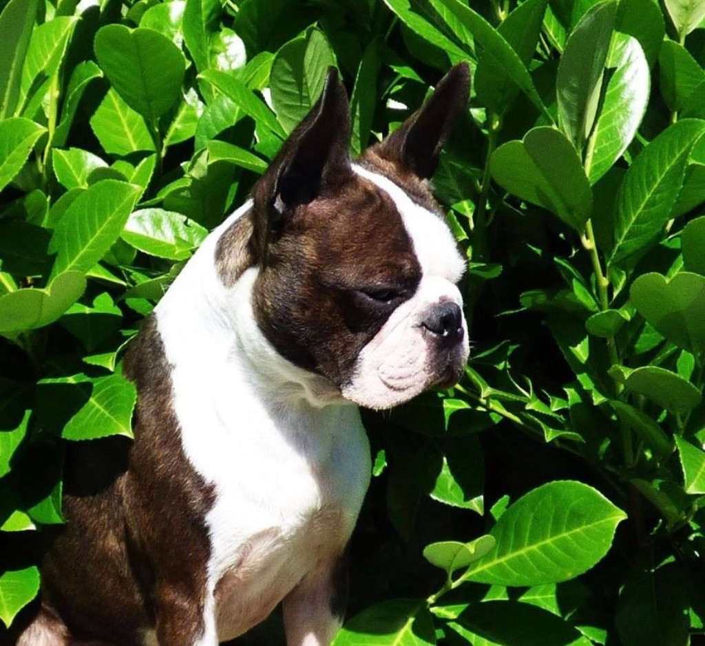 t-bo's Love on the rocks