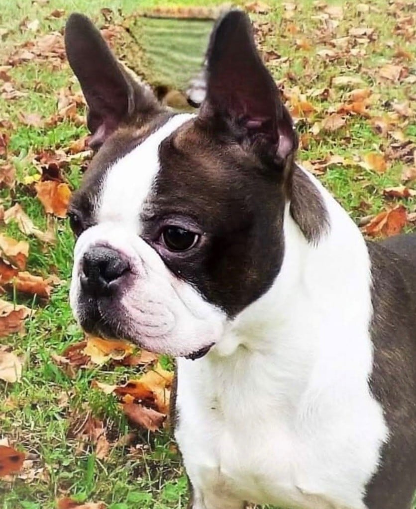 t-bo's Love on the rocks