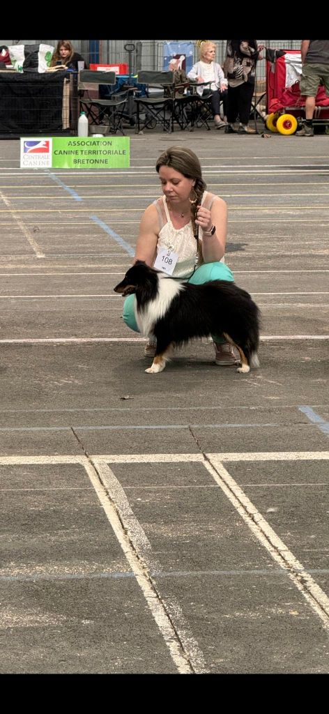 Teach Des Legendes De Stagadon - 4ème Excellent