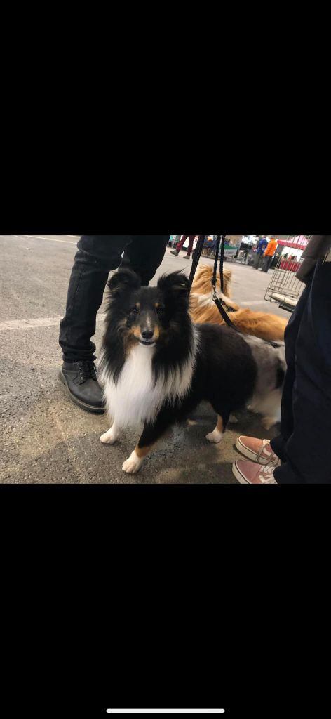 Teach Des Legendes De Stagadon - 1er RCACS Excellent