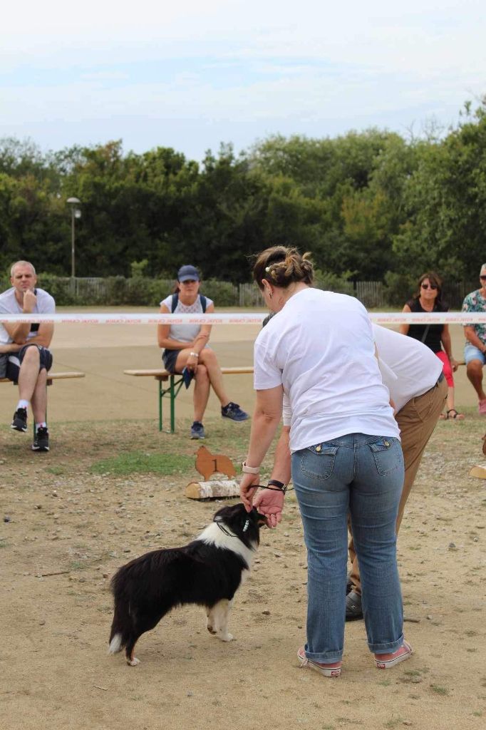Teach Des Legendes De Stagadon - 3ème Trés Bon
