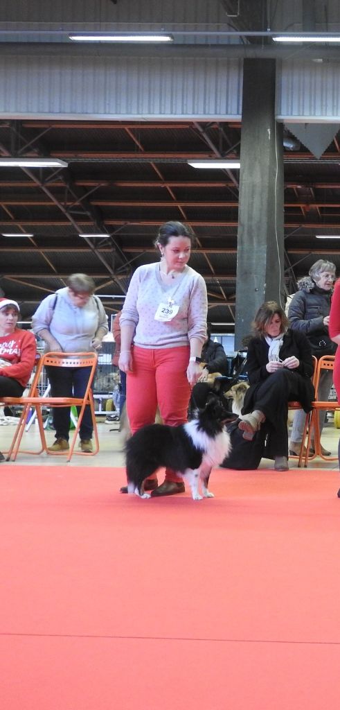 Teach Des Legendes De Stagadon - 1er Excellent