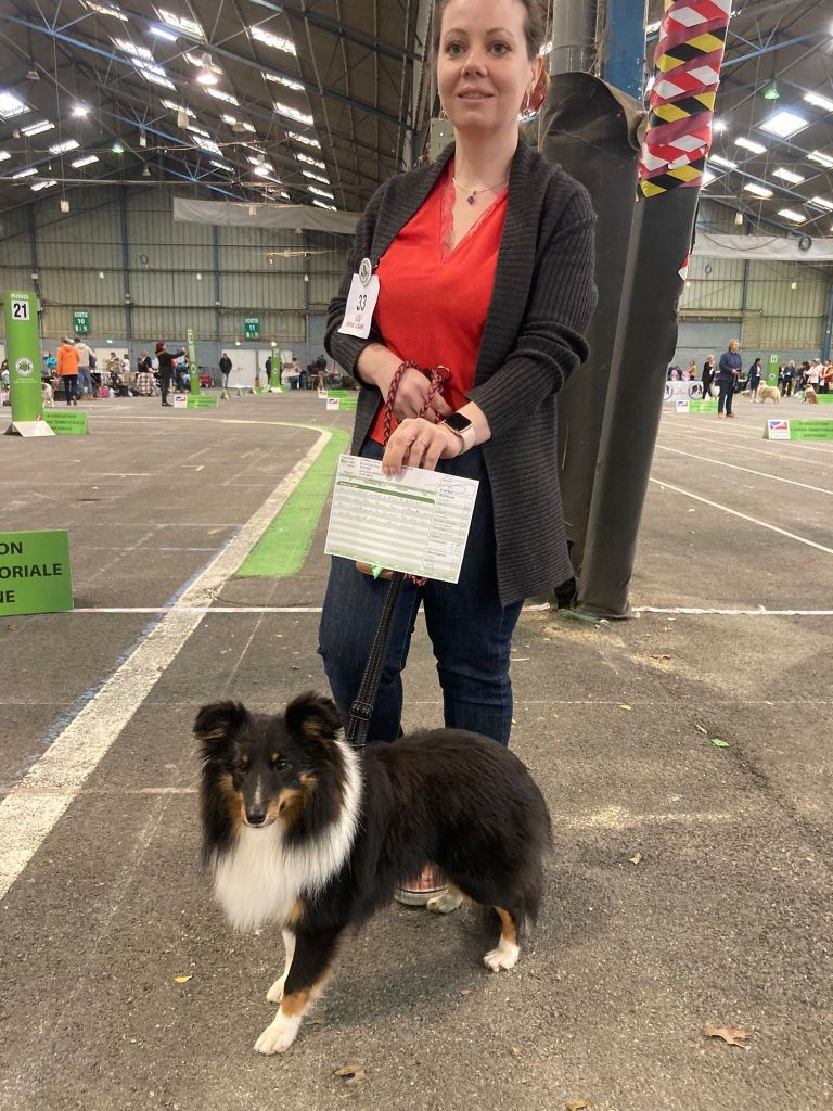 Teach Des Legendes De Stagadon - 1er Très Bon