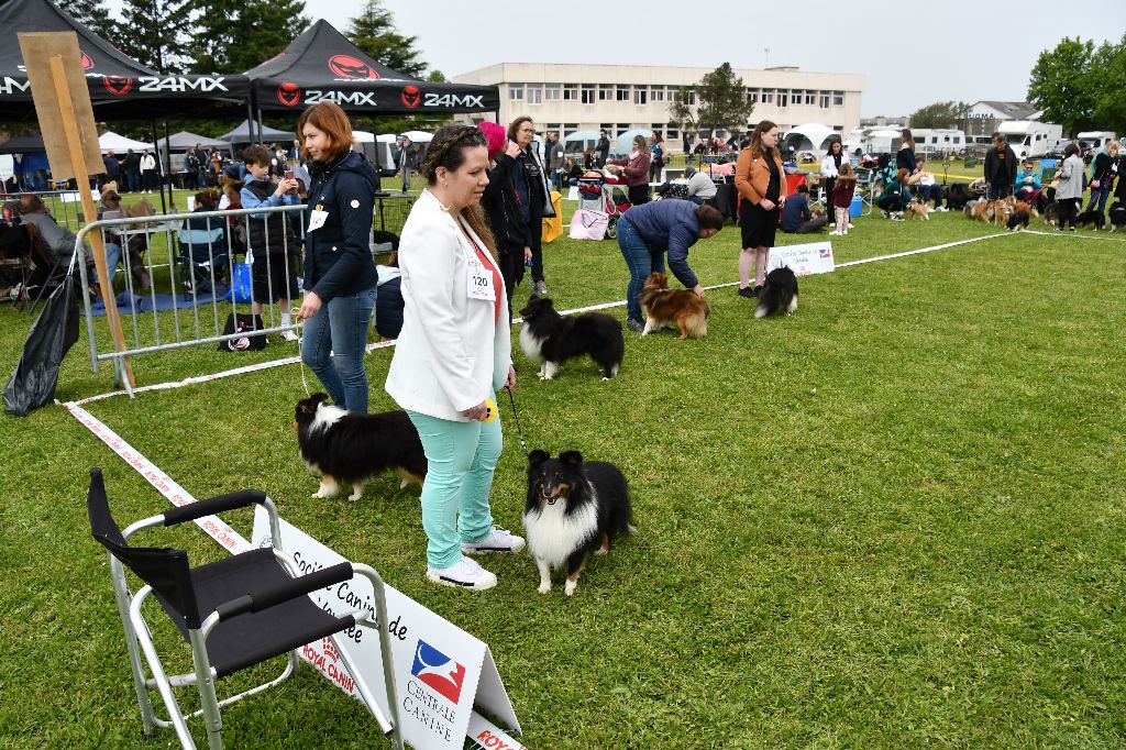 Teach Des Legendes De Stagadon - Excellent