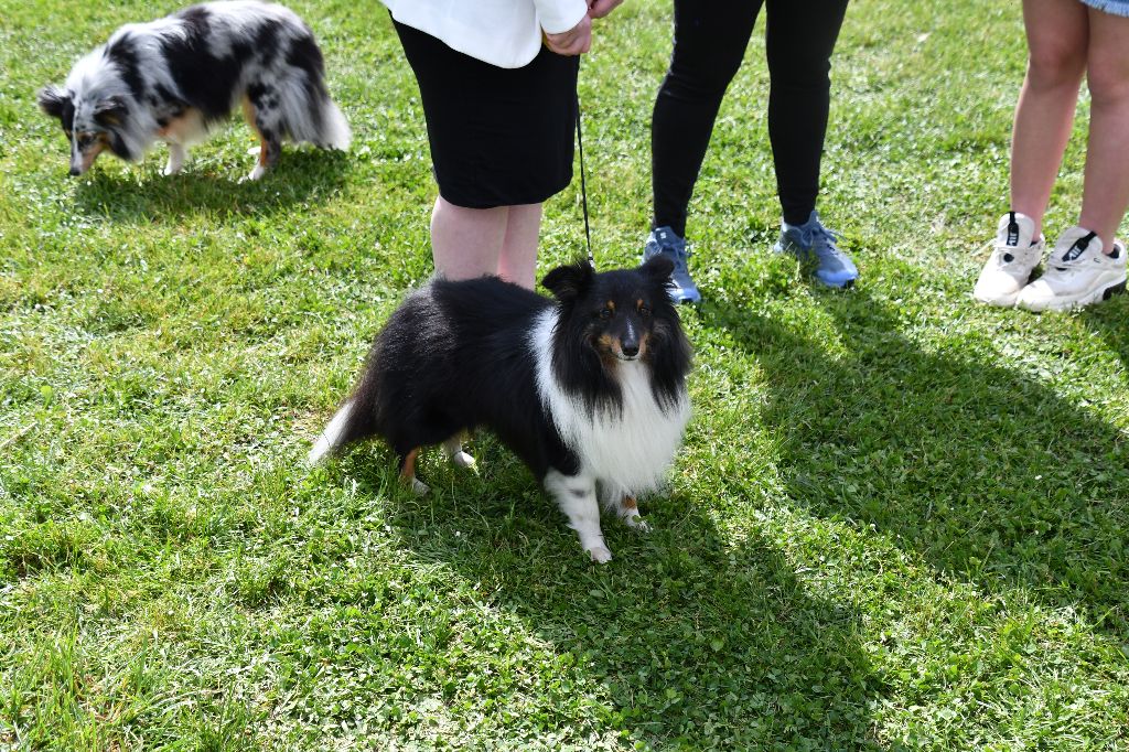 Teach Des Legendes De Stagadon - Excellent